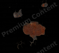 photo texture of rusted decal 0006